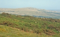 12 Dartmoor View